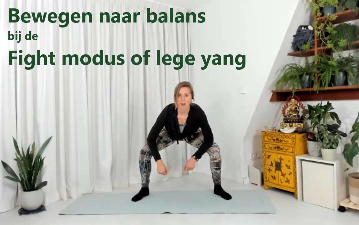 Cover Lege Yang Fight Modus Yt