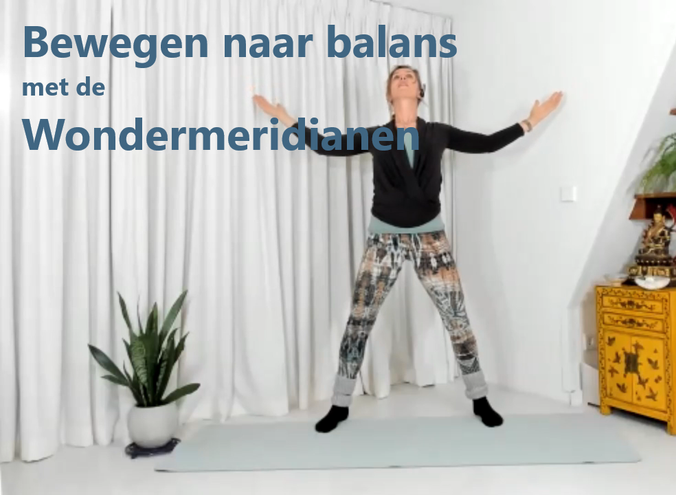 Cover Wondermeridianen