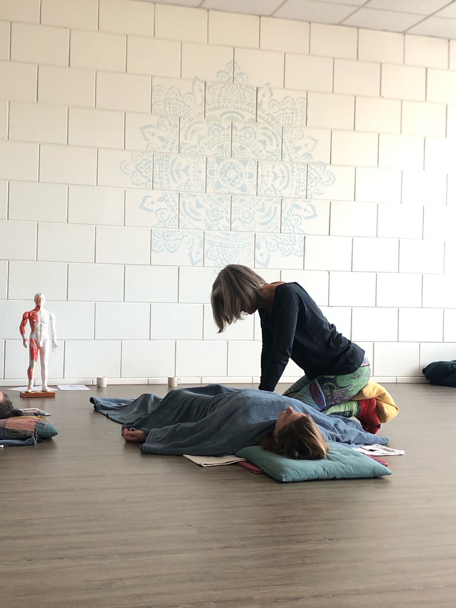 Shiatsu praktijkdag